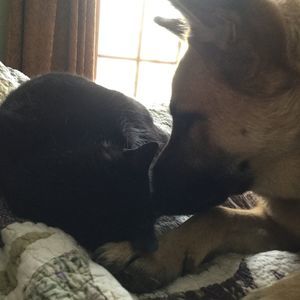 Meet your Posher, Karen